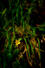 Christchurch New Zealand