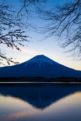 夜明けの富士山　静岡県富士宮市田貫湖にて