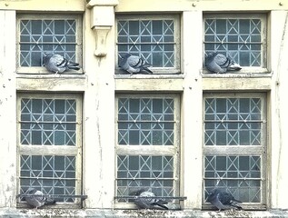 MONT SAINT MICHEL (Manche)