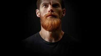 Perfect beard close-up. Red beard. Attractive pensive young bearded man raised his head. Bearded man closeup portrait on black background. Wide vertical orientation photo with copy space