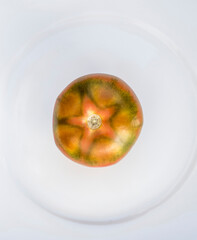 The lucky star tomato in the salad