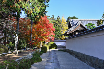 Approach to the precincts of Nanzenji Temple and autumn leaves