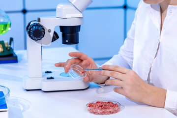 woman in food control laboratory examining minced meat samples for toxins and parasites