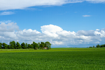 cereals farming in Linköping Sweden
