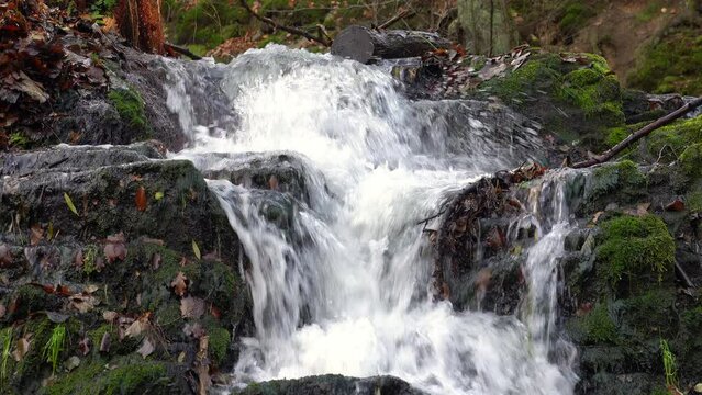 Selkefall im Harz, Deutschland