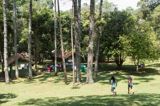 &Aacute;rea de churrasco no Parque Est Jaragu&aacute; - SAO PAULO, SP, BRAZIL - NOVEMBER 13, 2022: People enjoying the huge lawn with barbecue kiosks and picnic tables at Jaragua State Park.