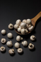 Small champignons on a black background. Mushroom variety
