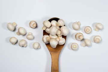 Small champignons on a white background. Mushroom variety