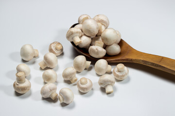 Small champignons on a white background. Mushroom variety
