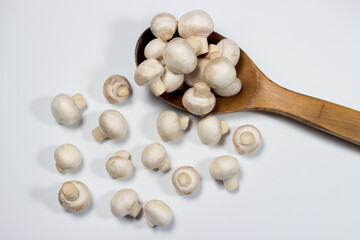 Small champignons on a white background. Mushroom variety