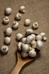 Fototapeta na wymiar Small champignons on a background of burlap. Mushroom variety