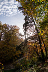 Bois de la Cambre in Brussels during autumn