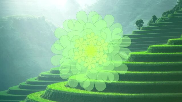 Green Mandala Breath Work Meditation Animation