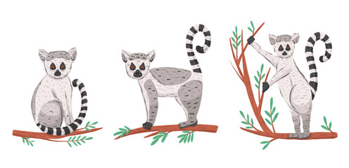 Set with ring tail lemur in cartoon style