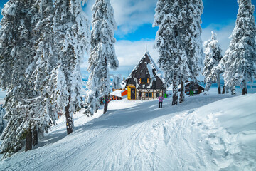 Winter landscape with mountain chalet and snow covered pine trees