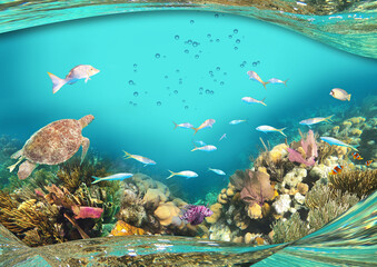 Fototapeta na wymiar Colorful coral reef with many fishes. Art design of Caribbean Sea - travel concept and save ocean life concept