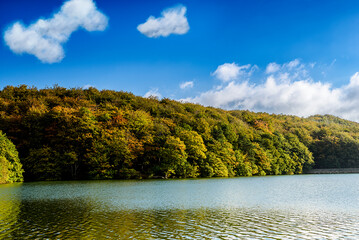lake and forest, Linacre Reservoirs