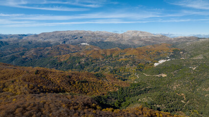 Obraz premium Panorámica del frondoso bosque del cobre en el valle del Genal, Andalucía 