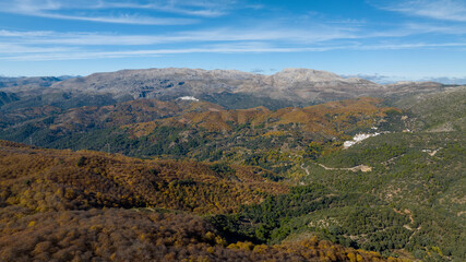 Panorámica del frondoso bosque del cobre en el valle del Genal, Andalucía	