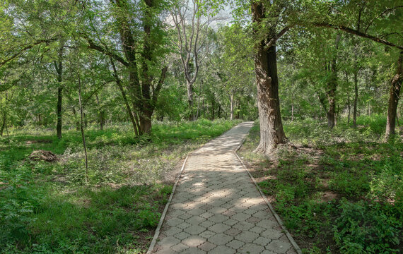  Old alley in the park recreation area