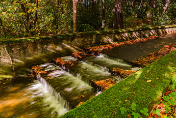 Obraz premium waterfall in autumn forest Linacre Reservoirs