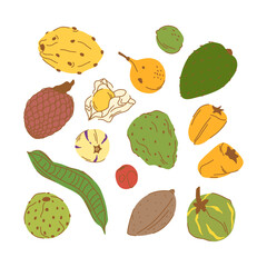 Set of Peruvian ripe fruits in a peel in a flat style.