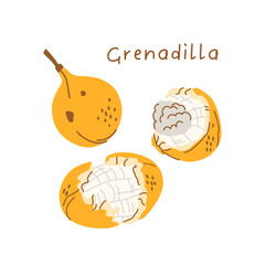 Grenadilla fruit illustration isolated on white background. Whole fruits and slices.