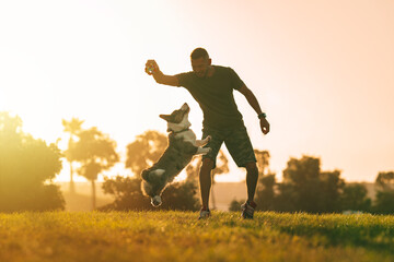 Young man playing with happy blue merle cardigan welsh corgi outdoor at sunset. Dog and owner concept.