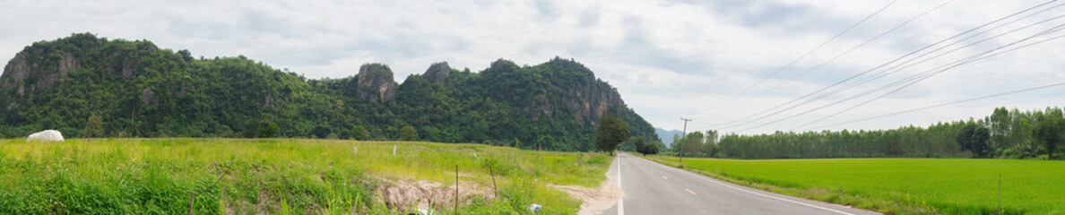 Empty grey asphalt road between mountains and fresh meadows on cloudy sky background.
