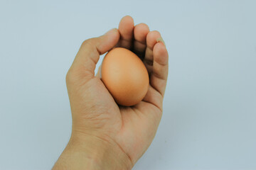 a chicken egg in the palm of your hand.