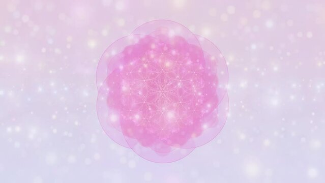 Pink Mandala Breathwork Meditation Animation