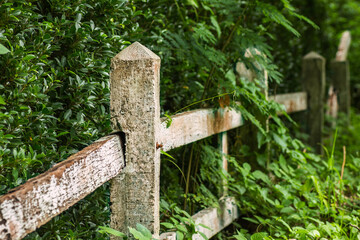 Abandoned old concrete fence covered by green weed grass nature, strength of grass-covered fences
