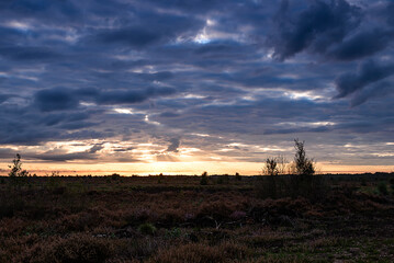 Obraz na płótnie Canvas sunset in the field