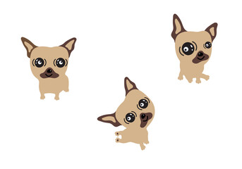 Fototapeta na wymiar Set of cute pug illustrations, cartoon french bulldog vector clipart characters isolated on white background 