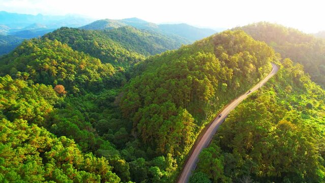 Beautiful yellow flowers in the middle of mountains, Bua Tong Blossom Festival at Doi Mae-U-Kho, Mae Hong Son Province, Northern Thailand. high mountain scenery. travel in thailand. aerial view. 4K

