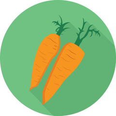 flat icons for carrot,vector illustrations