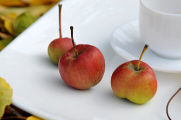 Apples on a white dish with a white cup