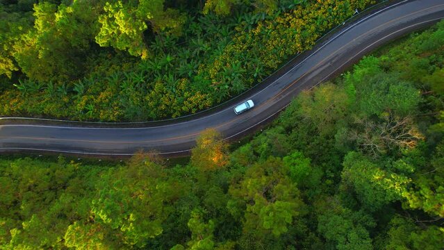 Cars is moving on a high mountain road in a green tropical forest during sunset. amazing mountain forest scenery. nature, transportation and tourism concept. Thailand. aerial view footage. 4k
