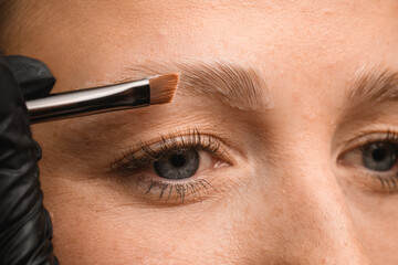 professional lamination procedures of female eyebrows in beauty salon. Close-up