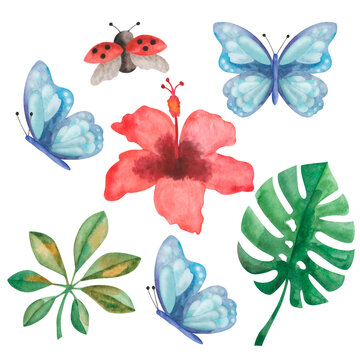Watercolor illustrations from hand painted red tropical hibiscus flower, green monstera and schefflera leaves, blue butterfly, lady bug. Tropical nature. Isolated clip art for prints, textile patterns