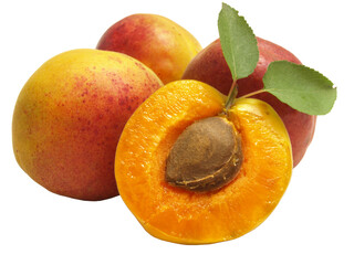 Apricots isolated