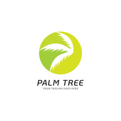 palm tree gold elegant logo vector, coconut tree tropical beach home or marijuana icon design illustration Vector