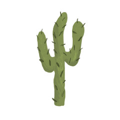 Green cactus doodle pencil illustration on transparent background. Hand drawn illustration.