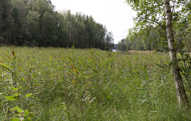 Obraz premium Photo of the lake region in Finland