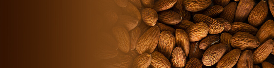 Banner 4x1 background of almond placer filling the entire frame