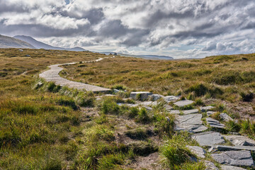 Fototapeta na wymiar Bog and heather landscape in Conemara, County Galway, Republic of Ireland