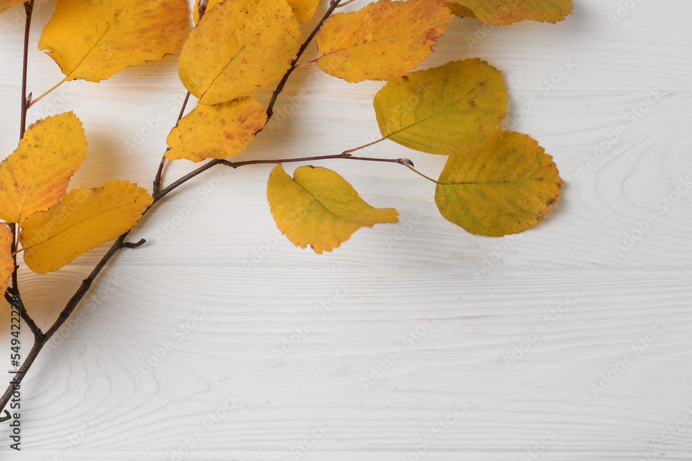 Sticker Branch with autumn leaves on white wooden table, top view. Space for text