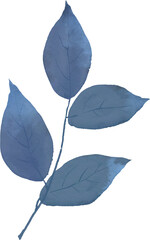 Watercolor transparent branch with leaves, PNG, botanical illustration, wedding design