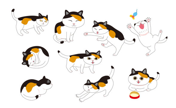 三毛猫 の画像 32 807 件の Stock 写真 ベクターおよびビデオ Adobe Stock