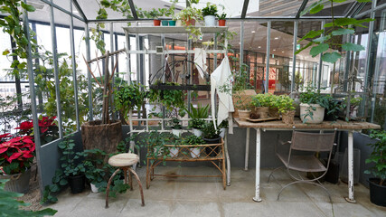 Plant Greenhouse Garden